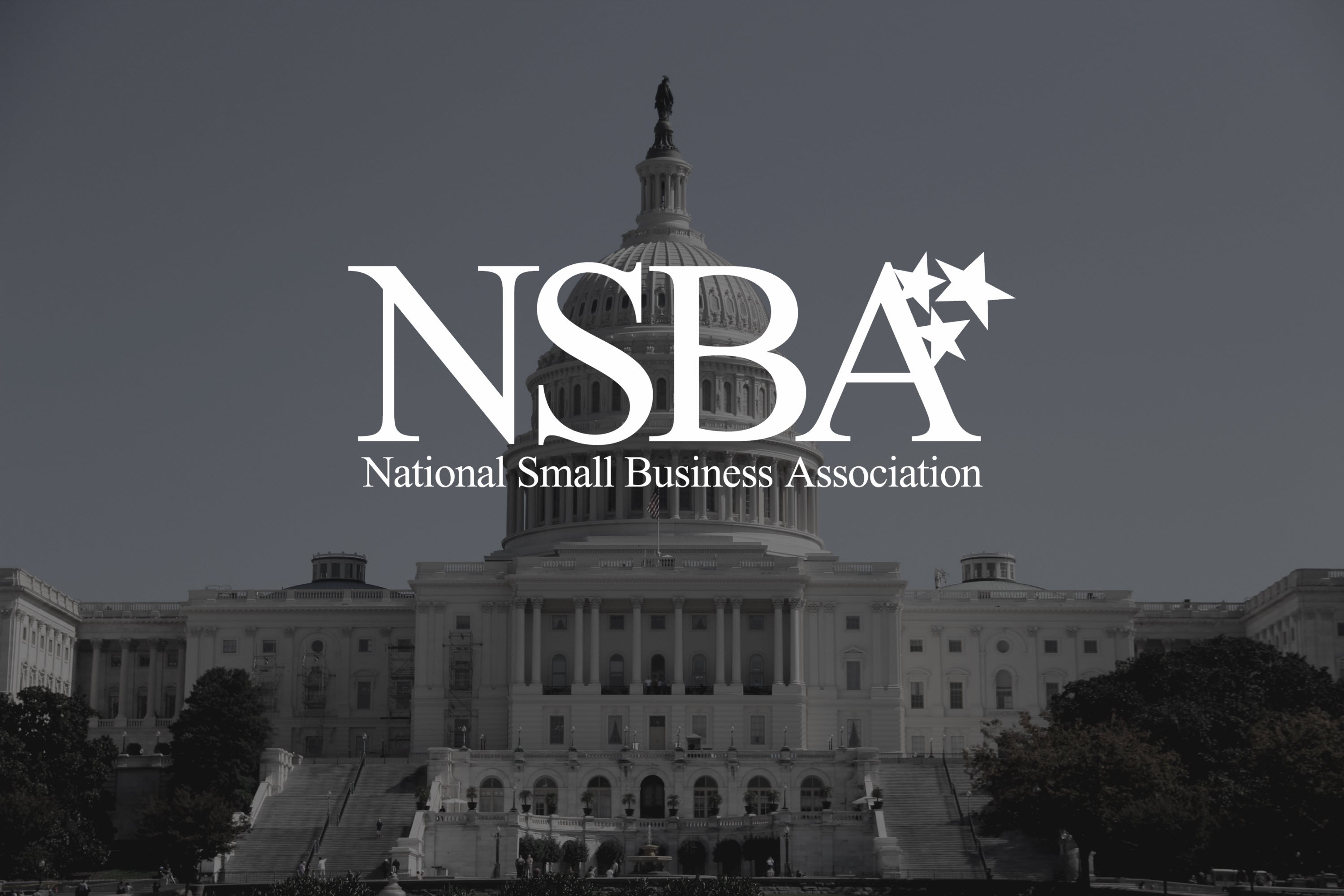 The National Small Business Association logo overtop of the US Capitol.